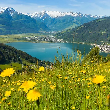 Apartment Peter-adler *